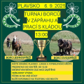 plakat0609.jpg